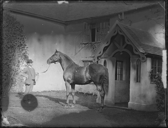 Horse1